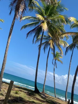 Imagem Casa Landscape