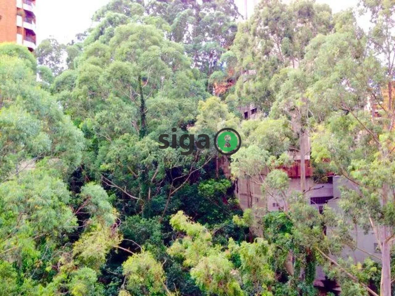 Imagem Apartamento à venda no Morumbu - 124 m², 3 Suítes, 2 Vagas