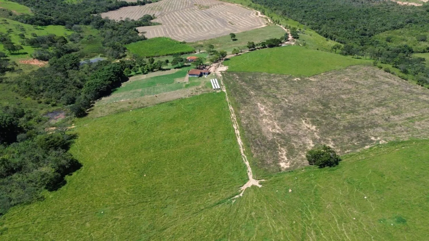 Imagem FAZENDA À VENDA - LUZ (MG) 60 hectares de área total,