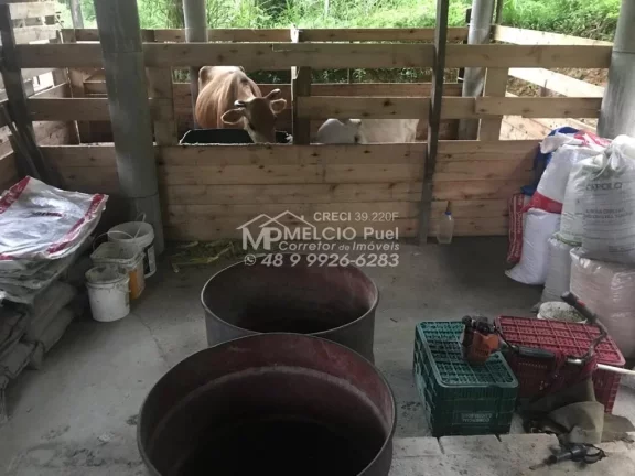Imagem Ótimo sítio a venda em Pinheral SC. com 40.000m². Propriedade equipada para criação de animais.