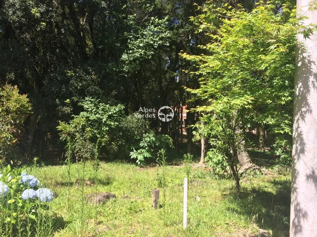Imagem Terreno à venda, 1242 m2 por R$ 682.900,00 - Lagos Do Bosque - Gramado/RS
