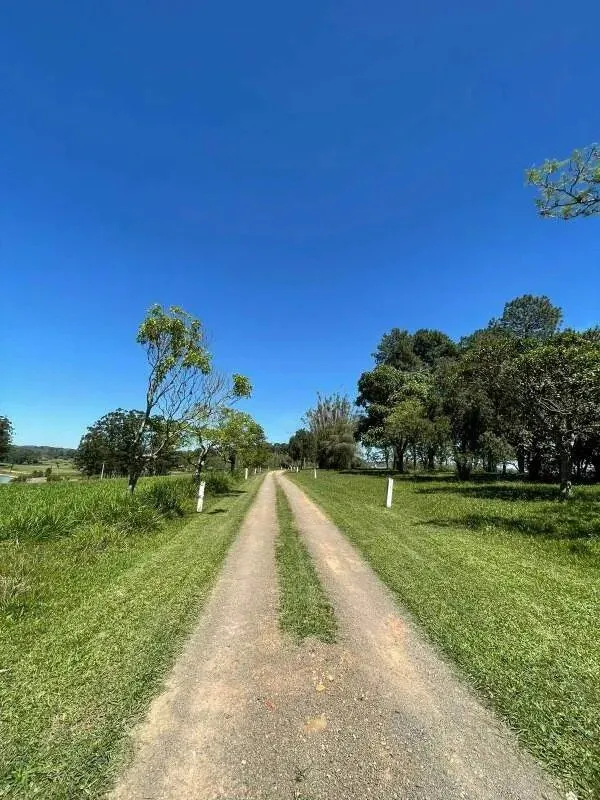 Imagem 90 Hectares de frente para o asfalto em Viamão