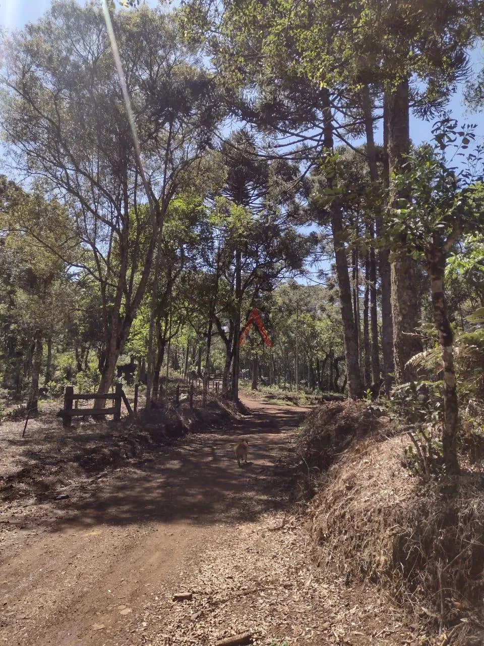 Imagem Chácara com 4 alqueiras com casa 2 dormitórios à venda, TURVO - PR