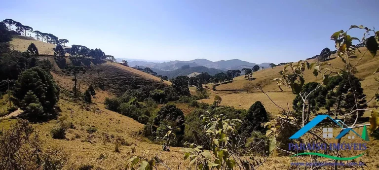 Imagem Conecte-se à Natureza: Terreno Rural com Nascente e Vista Panorâmica!