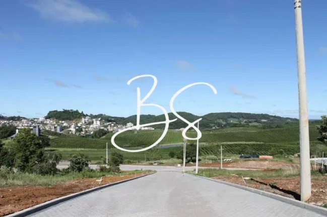 Imagem TERRENO RESIDENCIAL em FLORES DA CUNHA - RS, Loteamento Villa Toscana