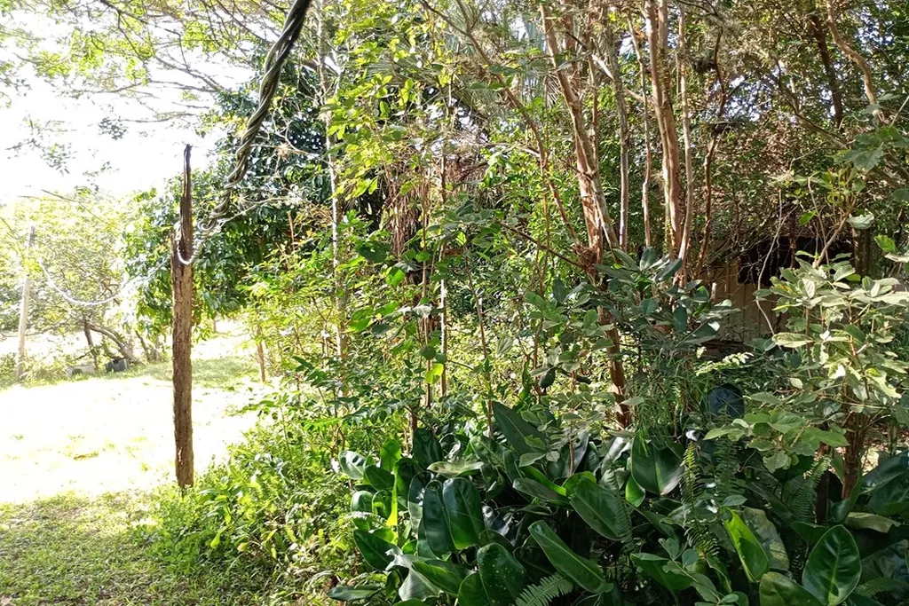 Imagem Fazenda em Belém Novo
