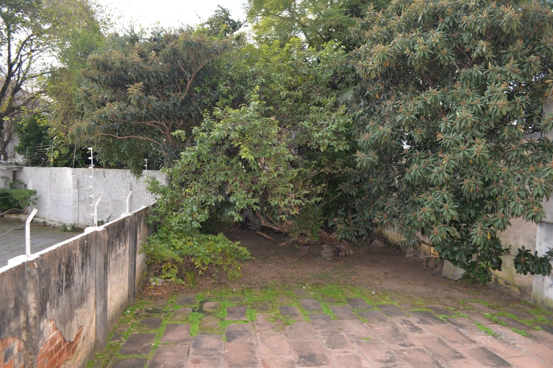 Imagem Prédio com Loja e 3 apartamentos - 470.08m², Floresta