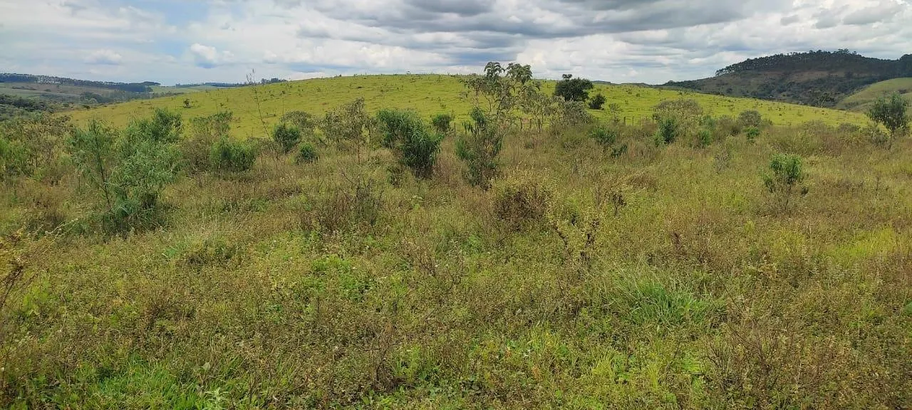 Imagem endo uma excelente fazenda em Desterro de Entre Rios com 277 hectares de terra