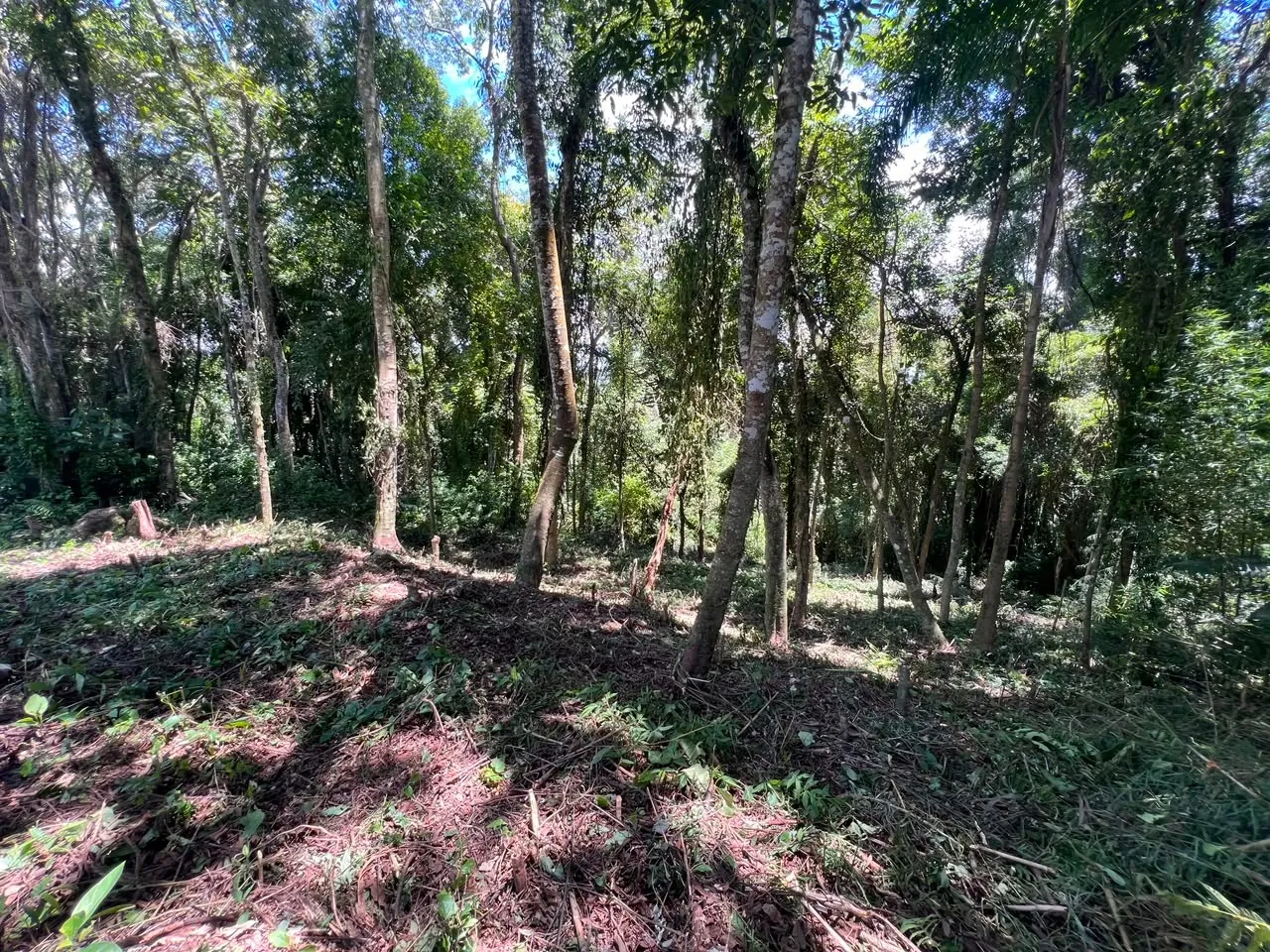 Imagem Terreno à 600mts da Repressa de Itupararanga no Loteamento Saveiros de Ibiúna
