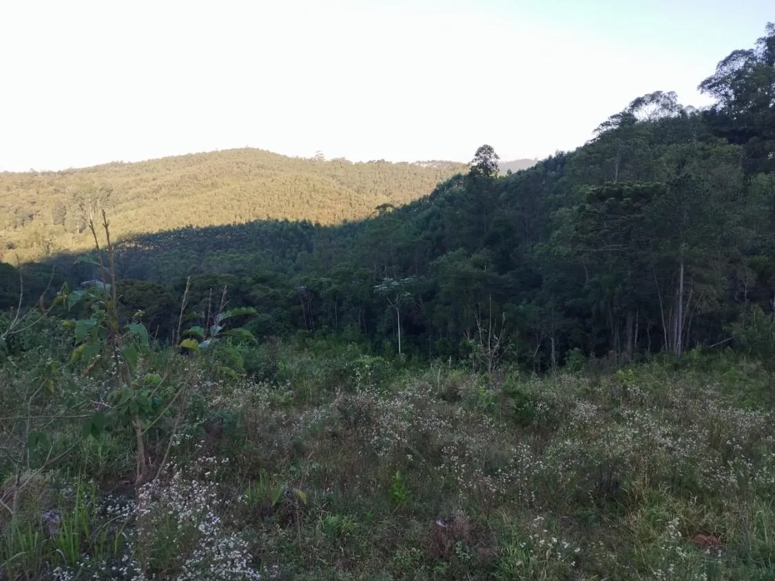 Imagem 4 Alqueires à Venda em Piracaia ? Ótima Localização!