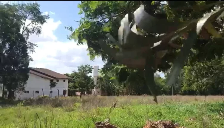 Foto do imóvel Terreno para chácara dentro de condomínio no interior de São Paulo