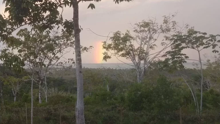 Imagem TOPO DE MORRO EM ALGODÕES