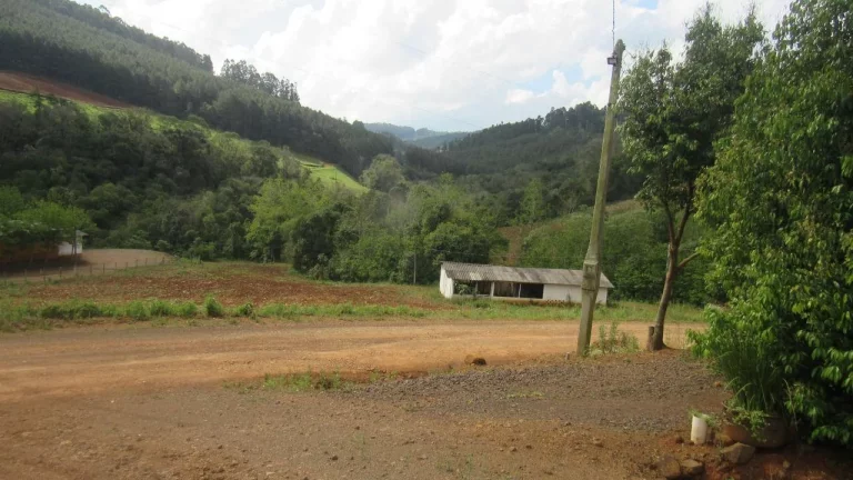 Imagem Área Agrícola para Venda em Lindóia do Sul, Interior