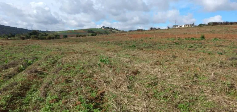 Foto do imóvel Terreno à Venda, 500 m² em verava, 0 - verava, Ibiúna - SP