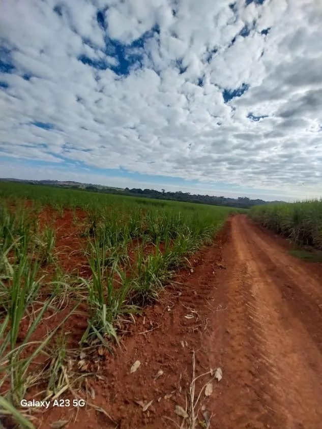 Imagem Vendo excelente fazenda em Lagoa da Prata/MG 376 hectares de terra