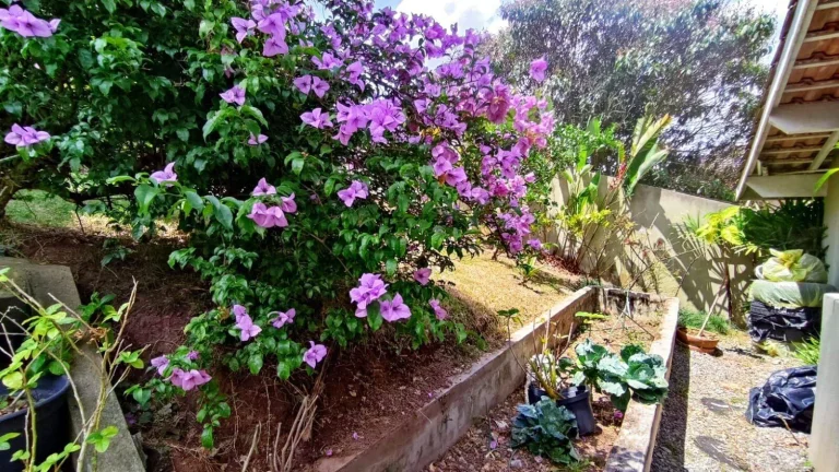 Imagem Casa 4 quartos à venda, 230 m² por R$ 1.200.000 - Chácara das Paineiras - Carapicuíba/SP