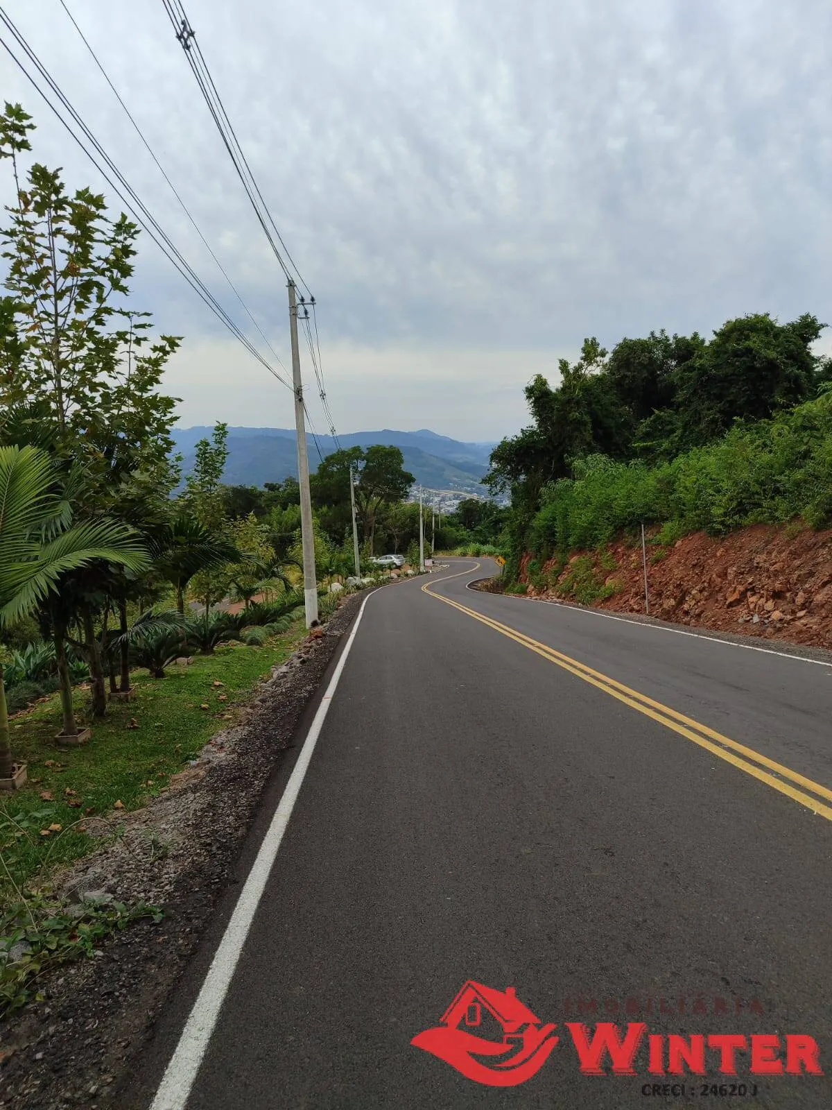 Imagem Linda área com 3471m² no Morro das Batatas, Feliz/RS