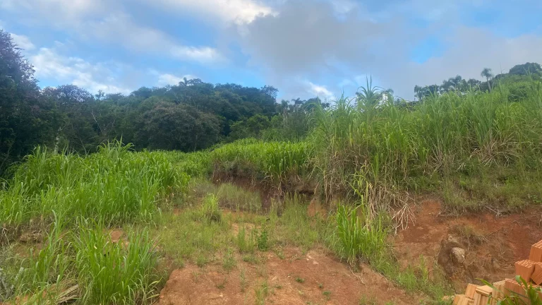 Imagem Oportunidade única: Terreno à venda em Garopaba-SC, Bairro Macacu, 1.000m² de área!