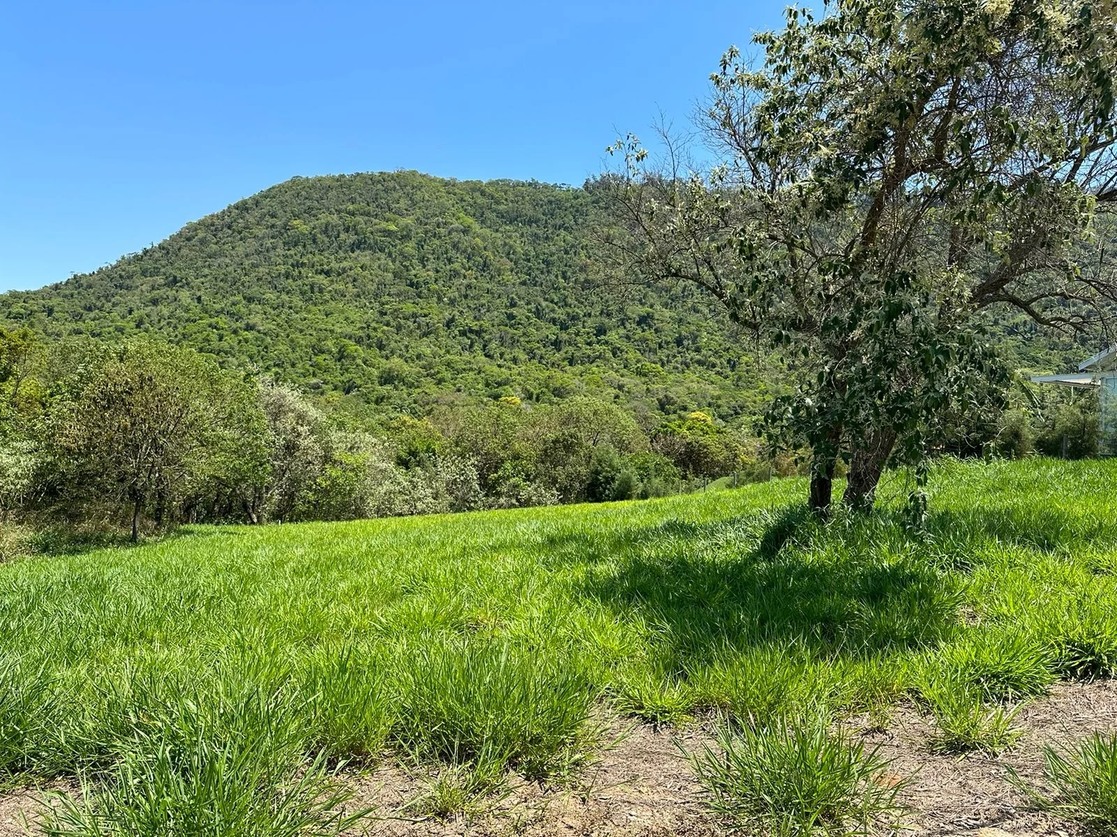 Imagem Terreno à venda Condomínio Fechado em Bofete, SP