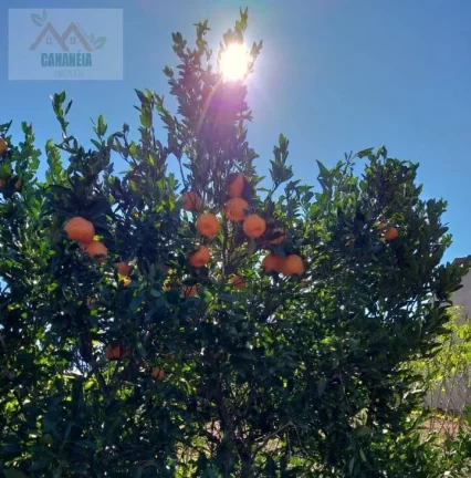Imagem TERRENO JARDIM CANANÉIA