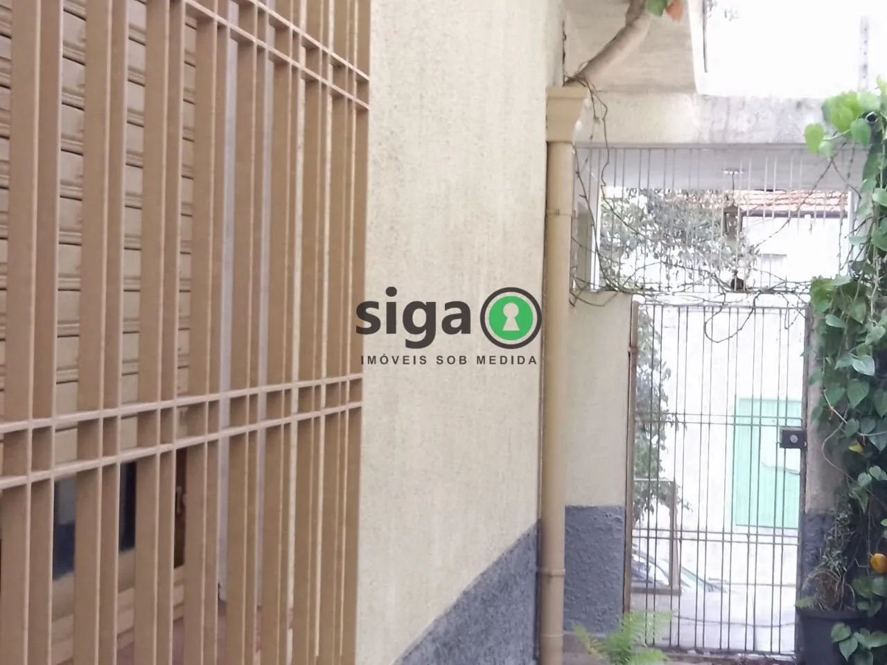 Imagem CASA ESPAÇOSA E AREJADA A POUCOS METROS DO METRÔ PRAÇA DA ÁRVORE