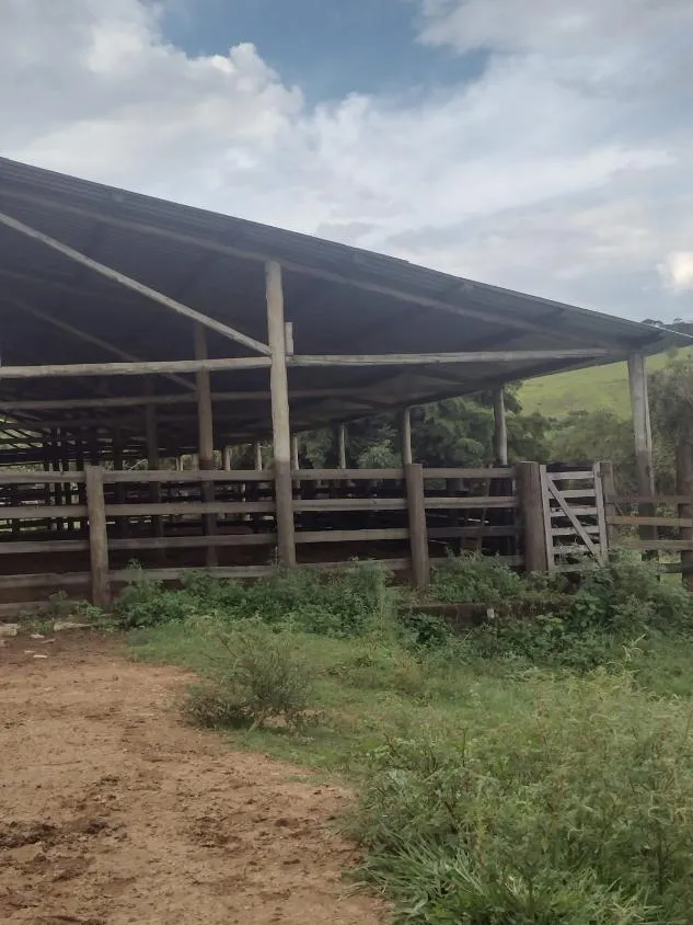 Imagem Excelente fazenda com 194 hectares de terra de cultura disponível para venda