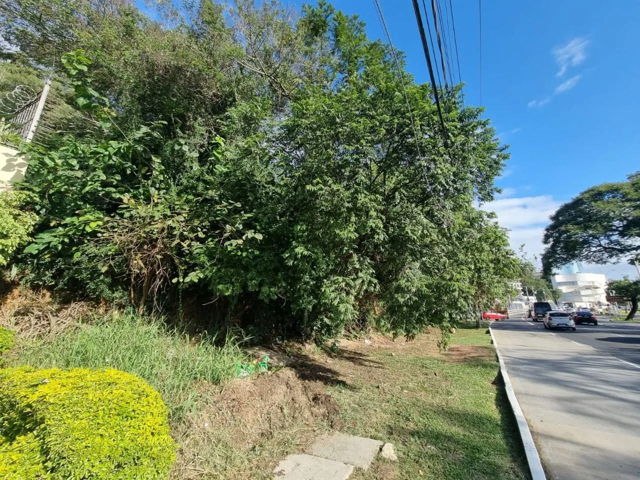 Imagem Terreno na av pinheiro borda com vista com 564n²