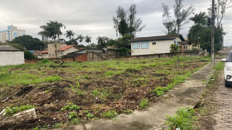 Imagem Terreno à Venda, 750 m² em Santa Augusta - Criciúma