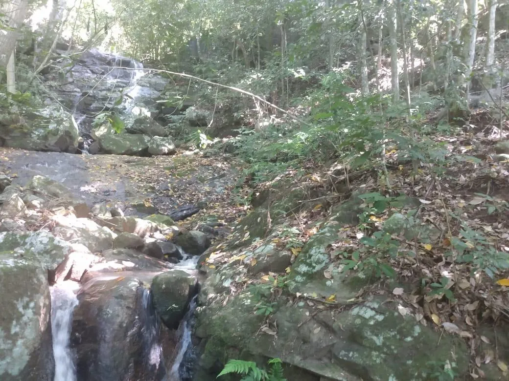 Imagem Chácara para venda, bairro Voluntário Baixo em Igrejinha/RS.