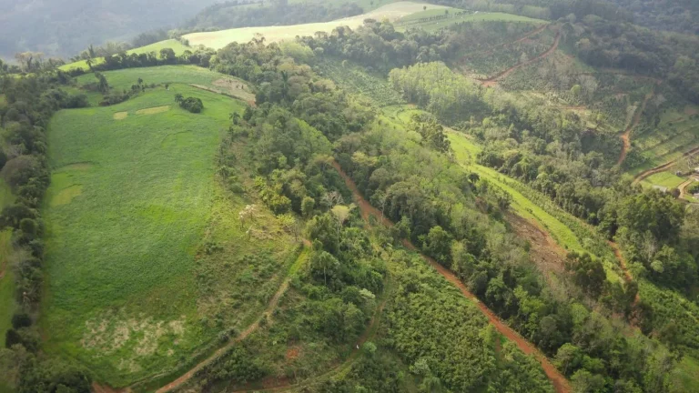 Imagem Área Agrícola para Venda em Arabuta, Rural