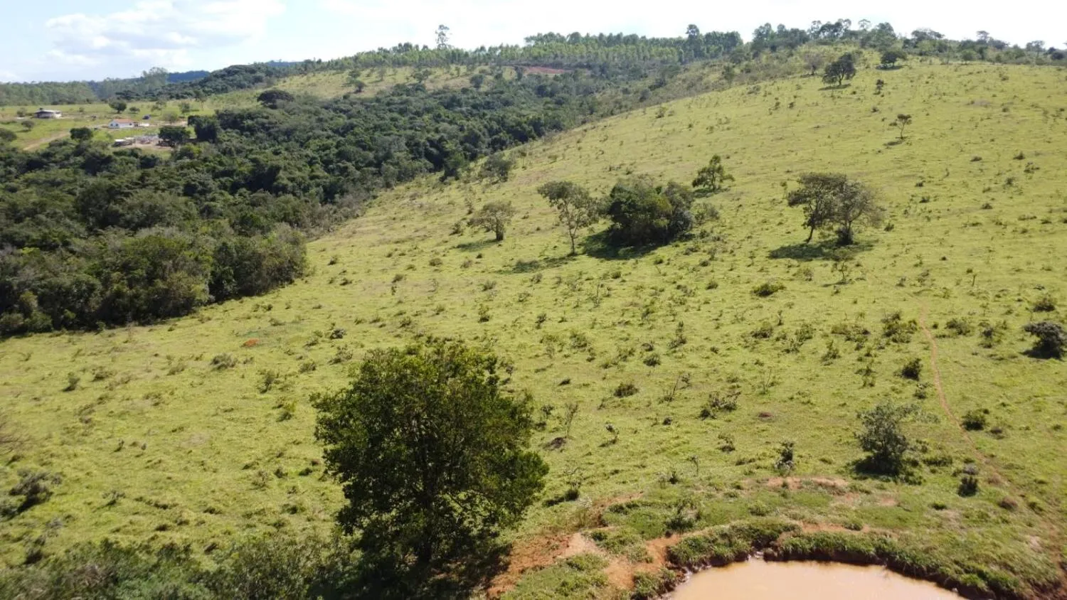 Imagem Excelente terreno rural com área de 10 hectares a venda em PASSA TEMPO/MG