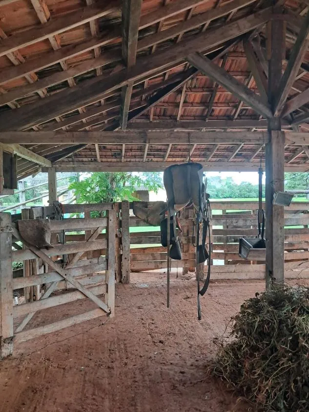 Imagem FAZENDA a venda 95ha em CURVELO/MG