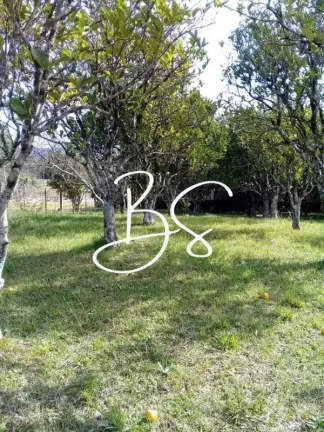 Imagem AREA RURAL em GRAMADO - RS, Centro
