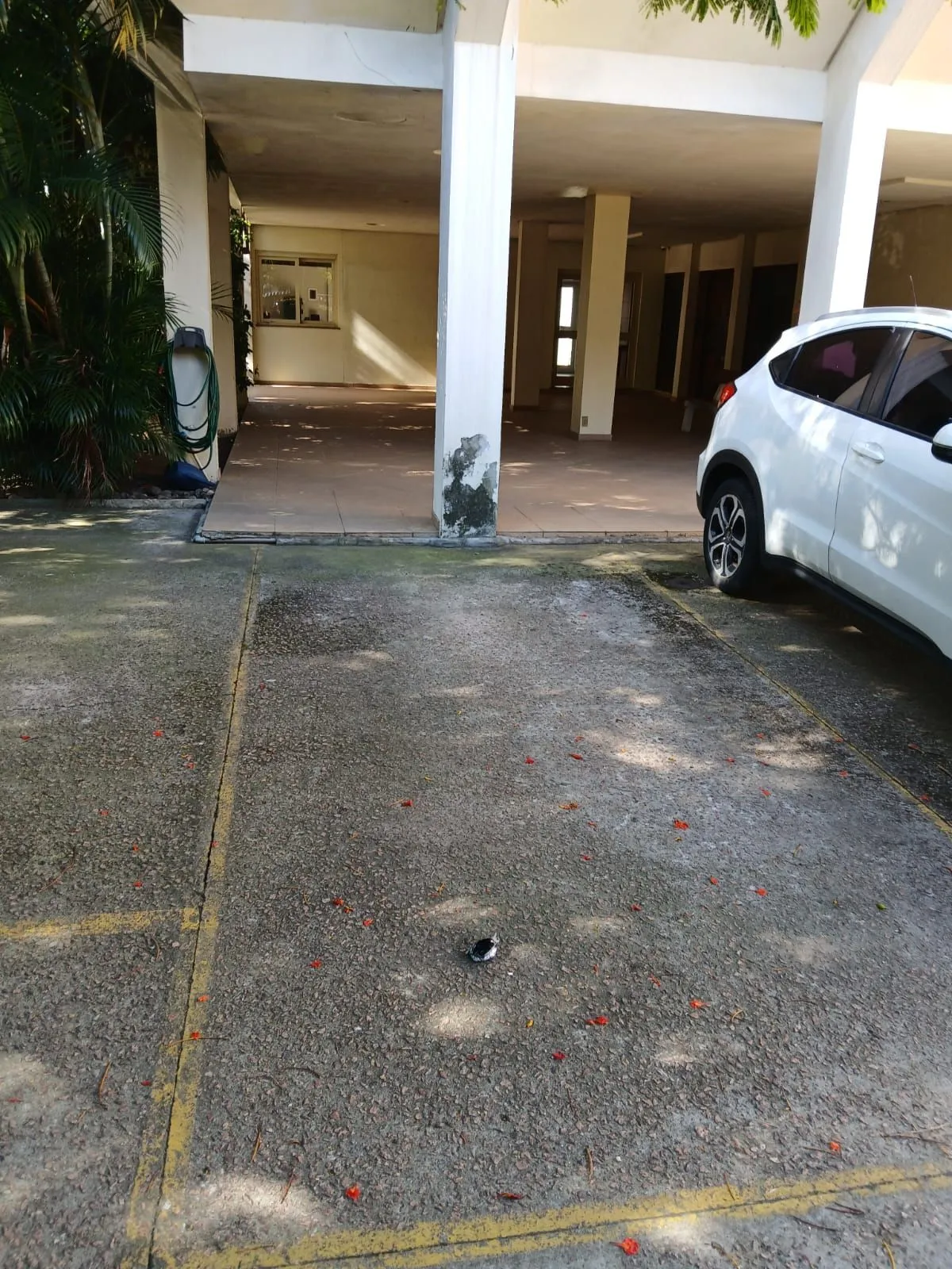 Imagem Apartamento em Petrópolis