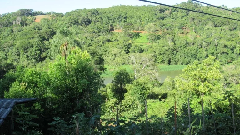 Imagem Sítio / Chácara para Venda em Concórdia, Rural, 3 dormitórios, 1 banheiro