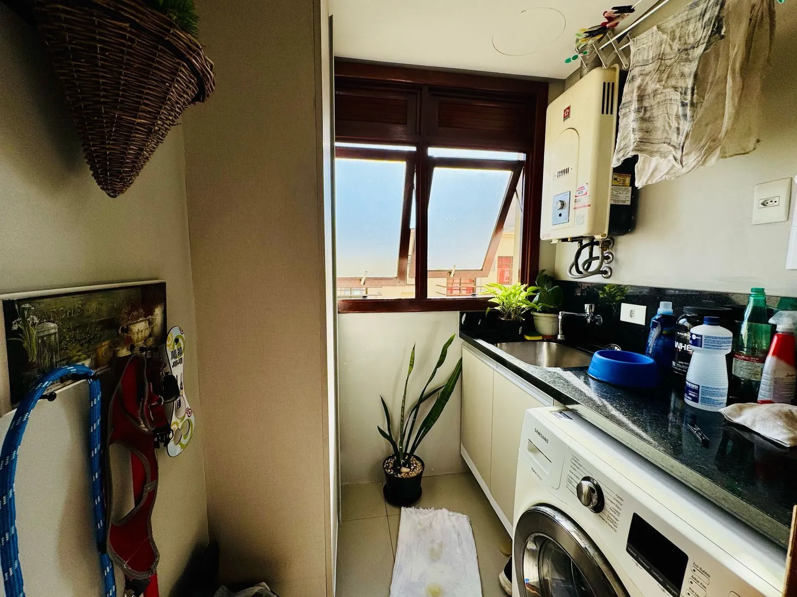 Imagem Apartamento em Menino Deus