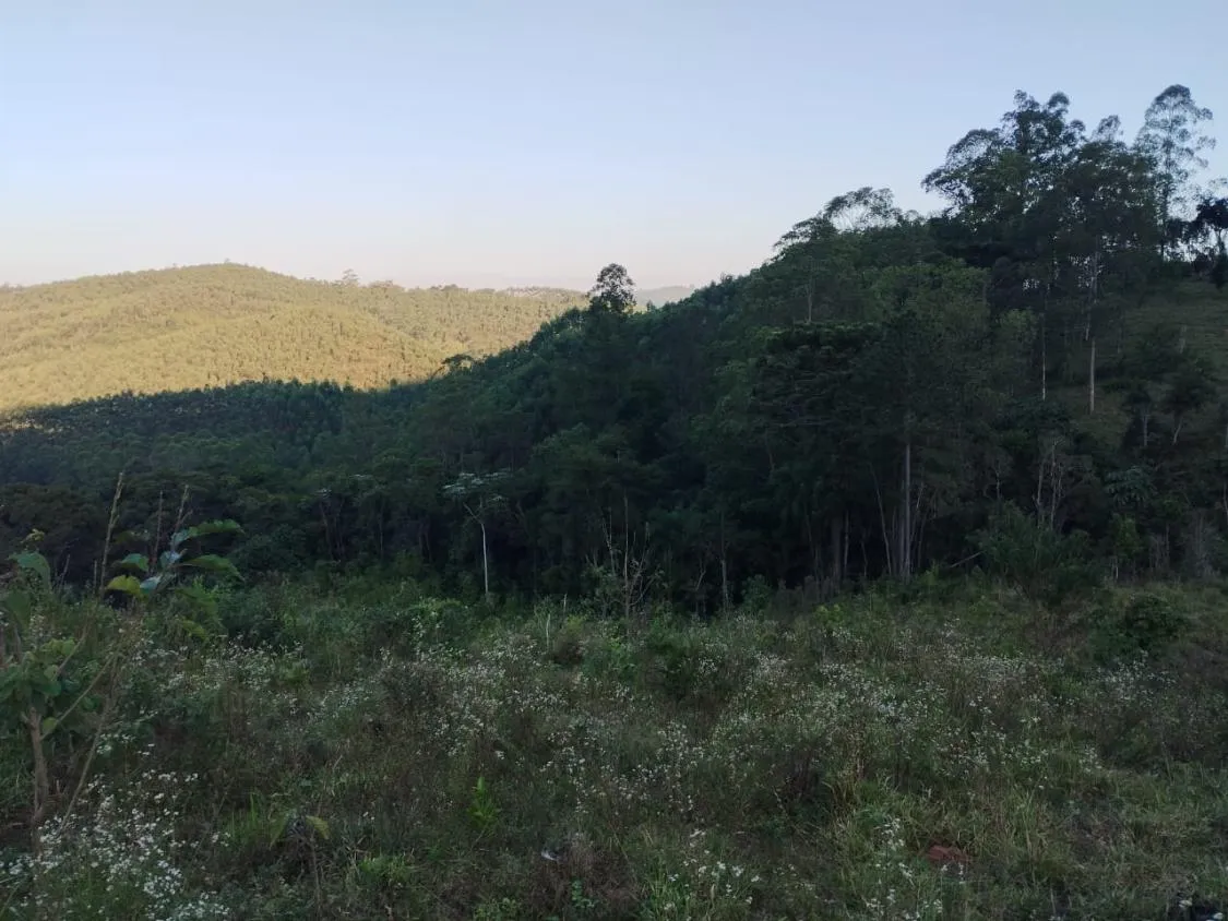 Imagem 4 Alqueires à Venda em Piracaia ? Ótima Localização!
