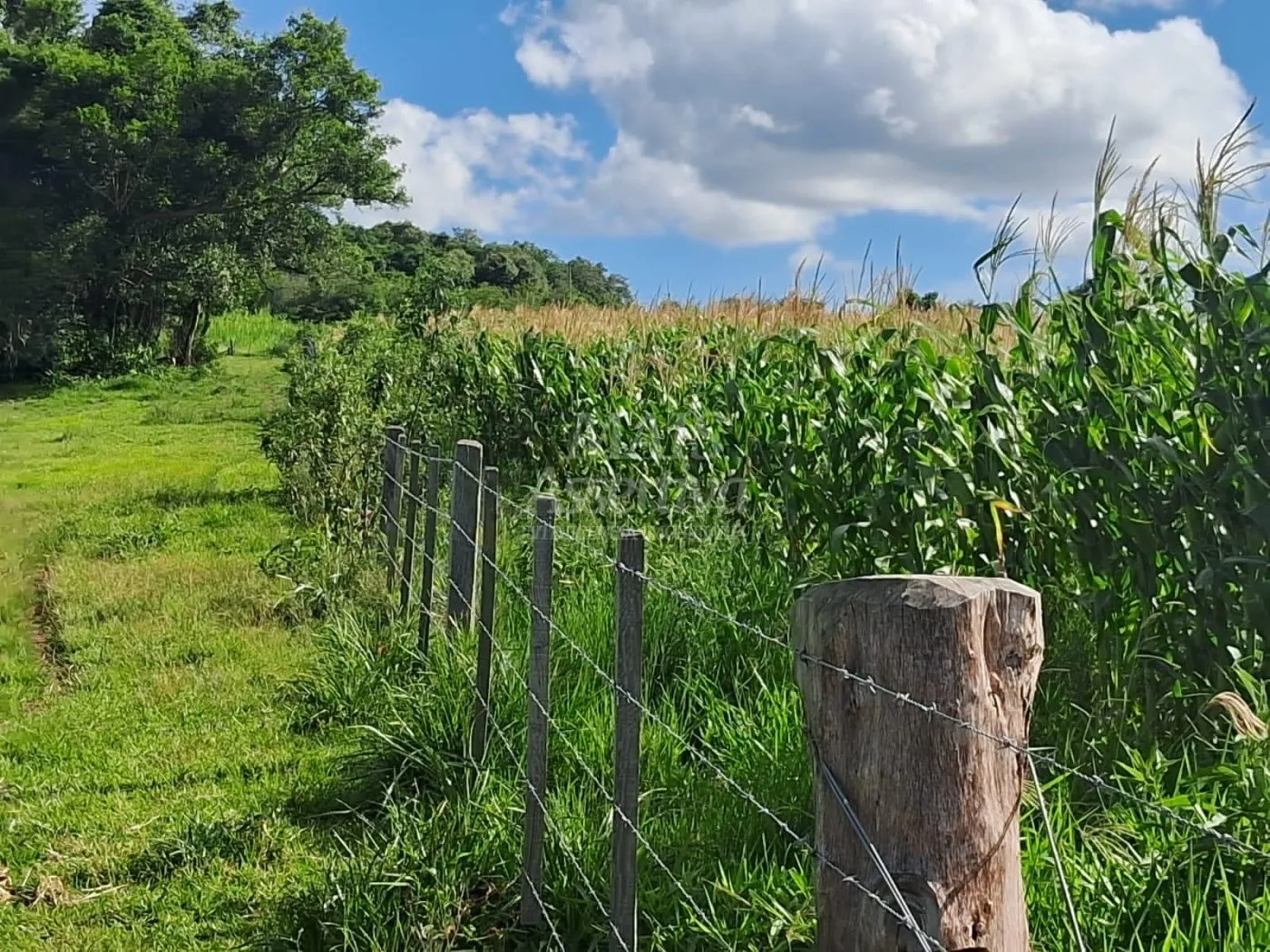 Imagem Área de Terras à venda, localizada em Taquara, ótima para plantação ou criação