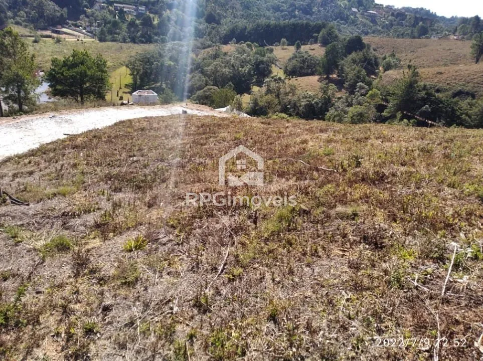 Imagem Terrenos limpos