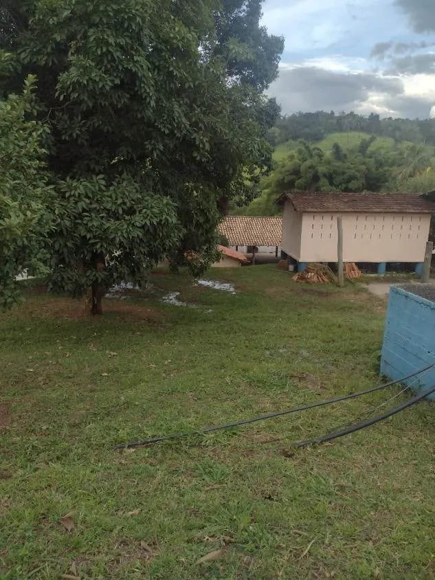 Imagem Excelente fazenda com 194 hectares de terra de cultura disponível para venda
