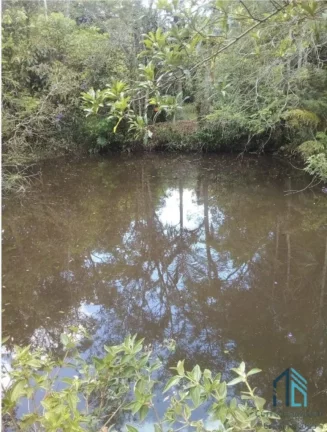 Imagem Chácara 12.650 mil m², com Pomar, lagoa com peixes no Bairro Paciência em Itajaí SC