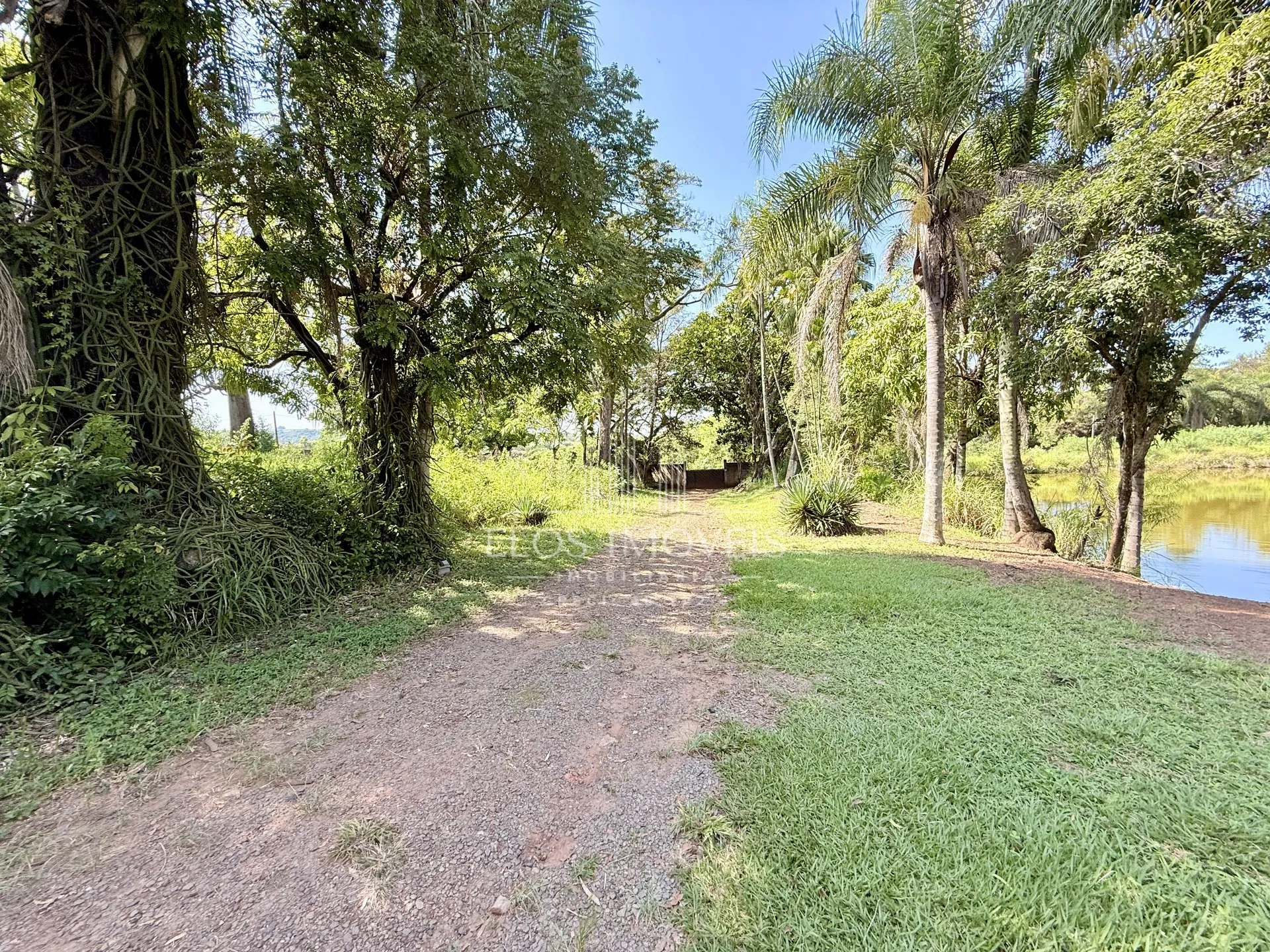 Imagem Fazenda/Sítios/Chácaras de 3 quartos, no bairro Bairro São Francisco, em Limeira