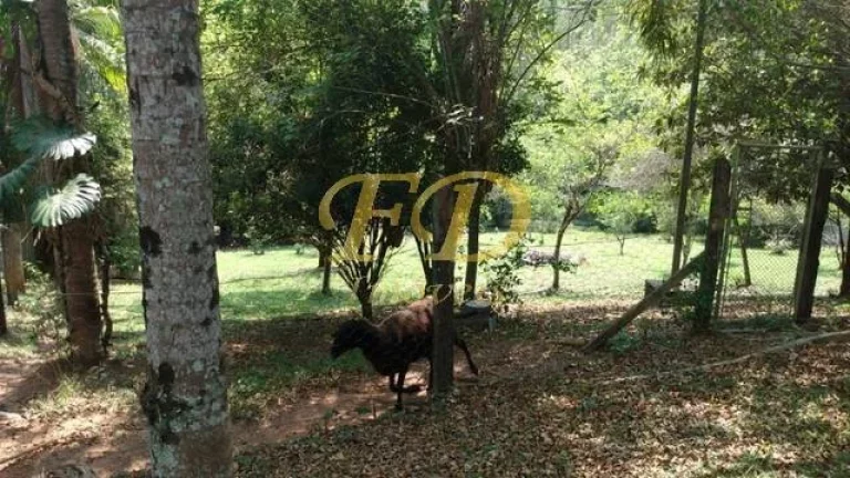Imagem Chácara em Jarinu