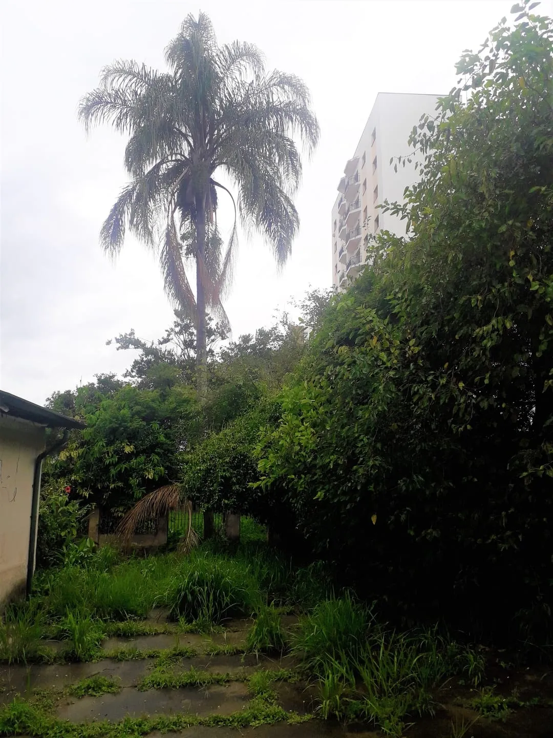 Imagem Casa à venda 4 Quartos, 1 Vaga, 1000M², Centro, Taubaté - SP