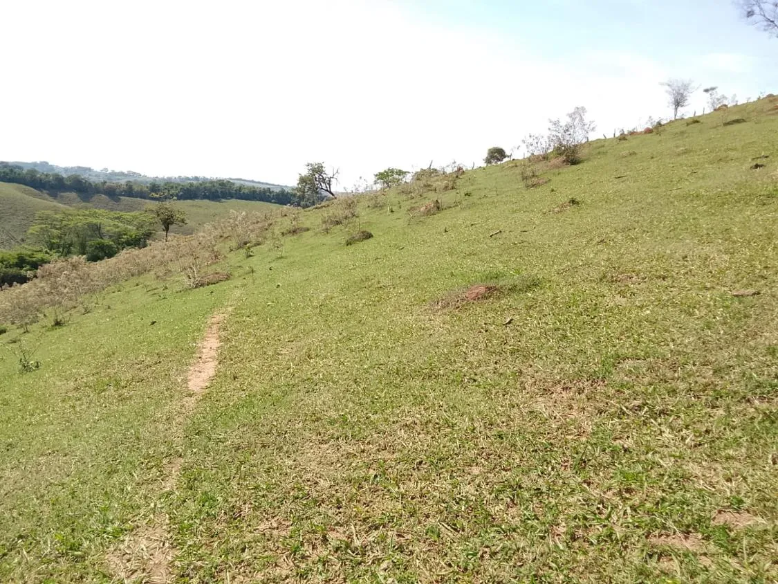 Imagem TERRENO COMPLETO COM 8 ALQUEIRES ? PRÓXIMO A RIO MANSO