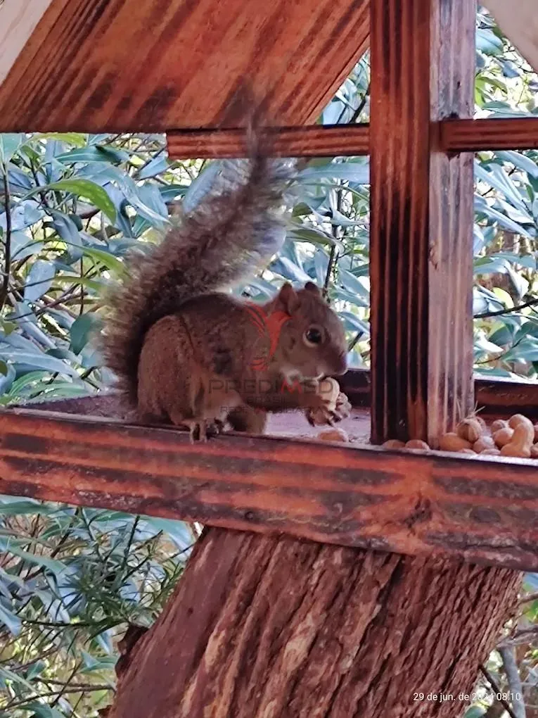Imagem PO-25253 - POUSADA À VENDA NA VILA INGLESA EM CAMPOS DO JORDÃO - SP