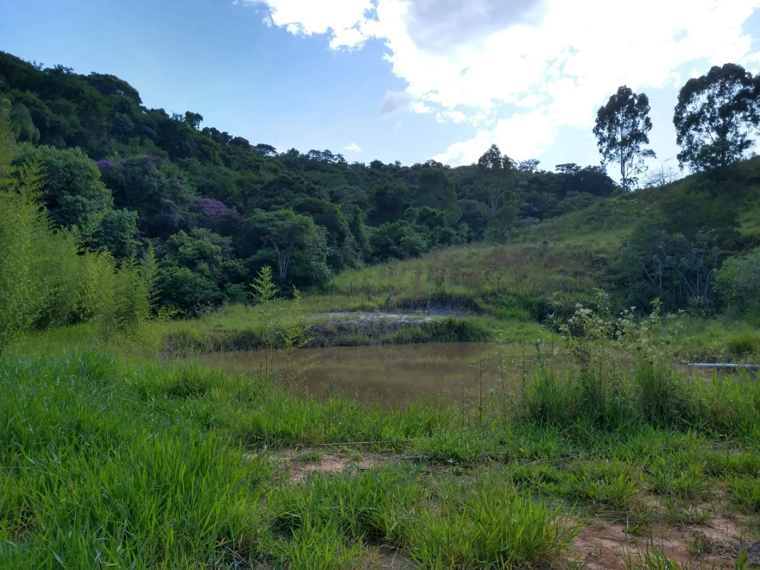 Imagem Chácara à venda 2 Quartos, 6 Vagas, 65000M², Sete Voltas, Taubaté - SP