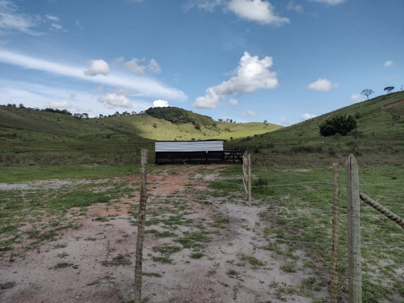 Imagem Terreno à Venda, 5.000 m² em Buarque de Macedo - Conselheiro Lafaiete
