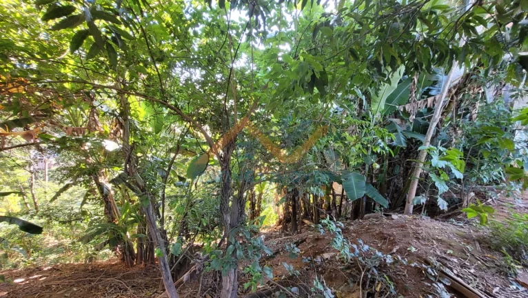 Imagem Terreno Loteamento no Caravelas - Ipatinga