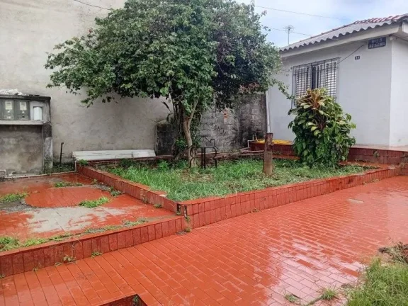 Imagem Terreno - São Paulo - SP - Cidade São Mateus